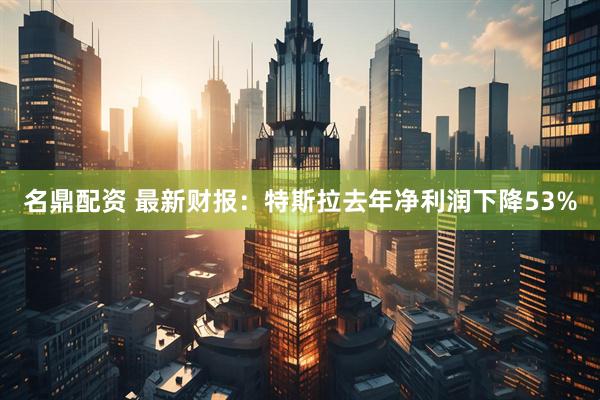 名鼎配资 最新财报：特斯拉去年净利润下降53%