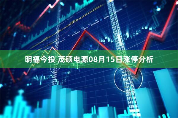 明福今投 茂硕电源08月15日涨停分析