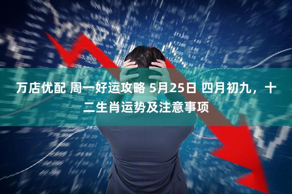 万店优配 周一好运攻略 5月25日 四月初九，十二生肖运势及注意事项